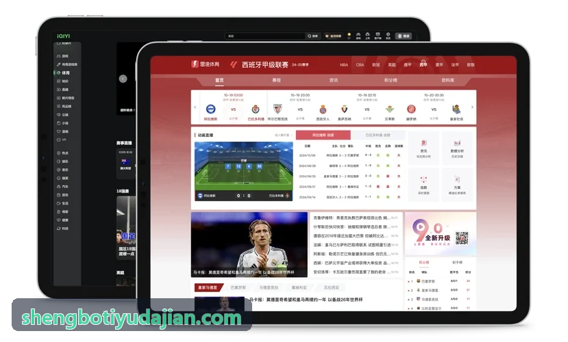SHENGBOTIYU科研级动静态双测力台